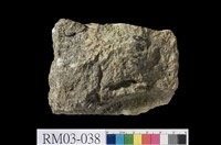 藏品(葡萄岩)的圖片